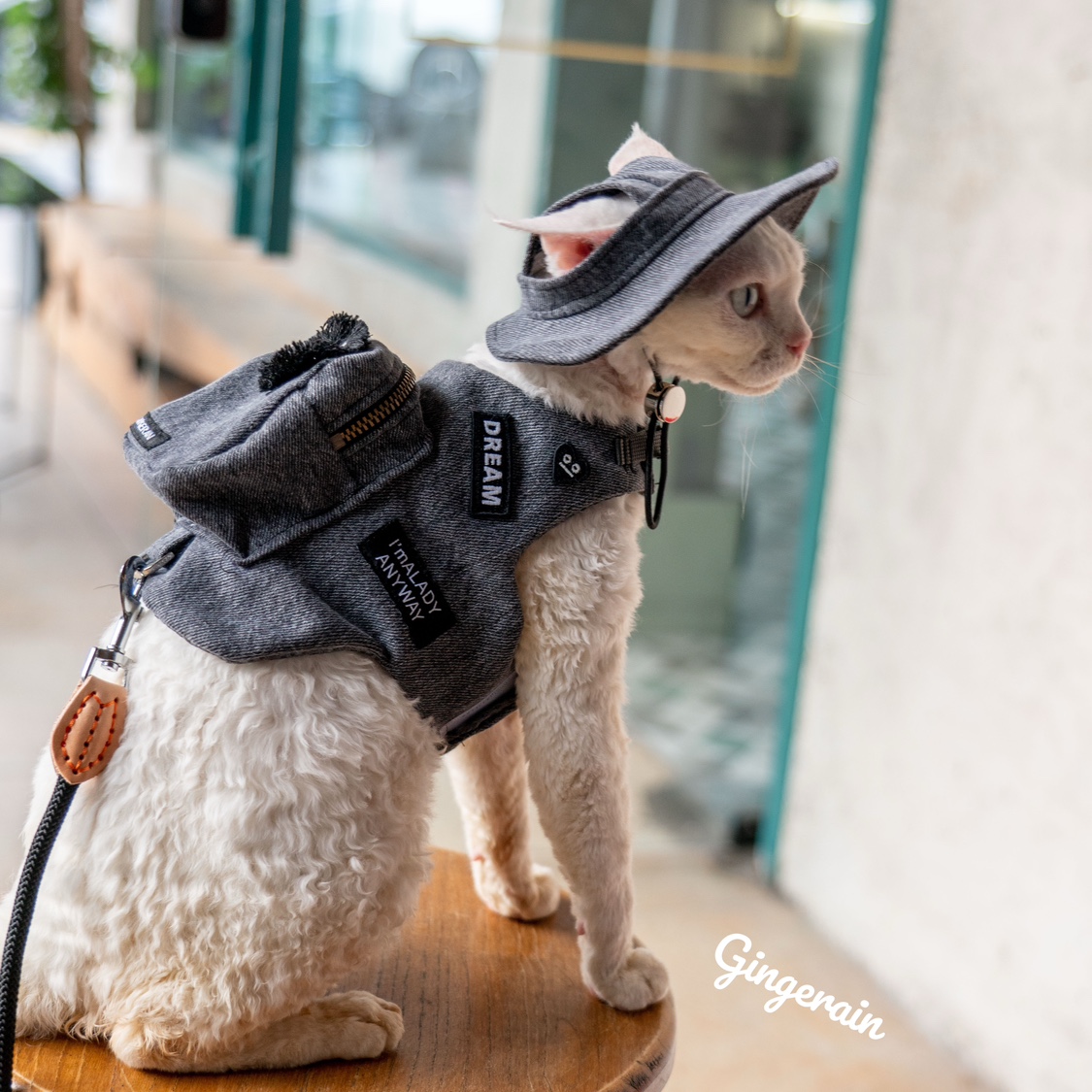 Luxury Bags Cute - Handgemachte Luxus Reise Katze Träger Snack