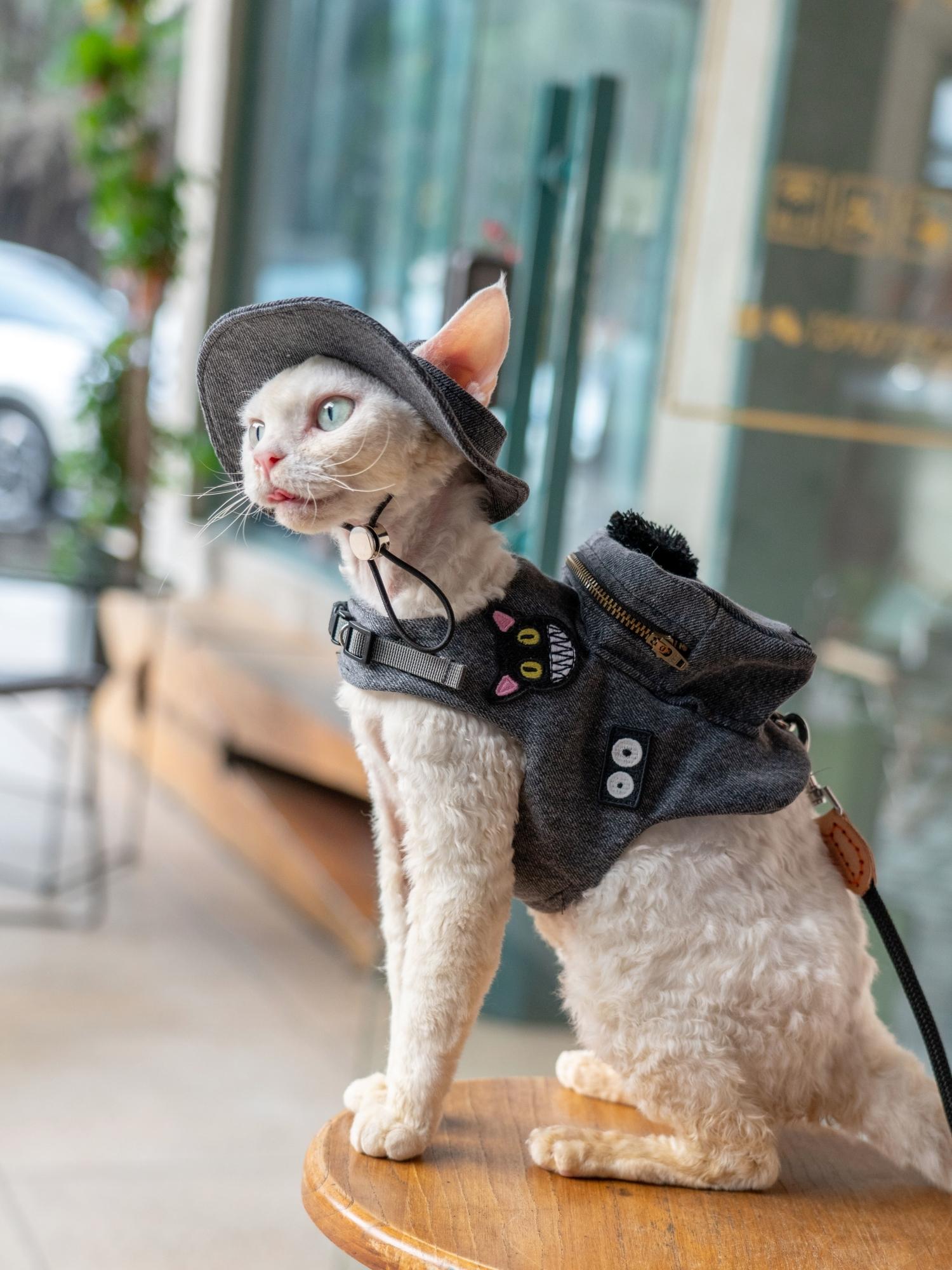Handgemachte Luxus Reise Katze – Luxury Bags Cute Bewertung und Preis