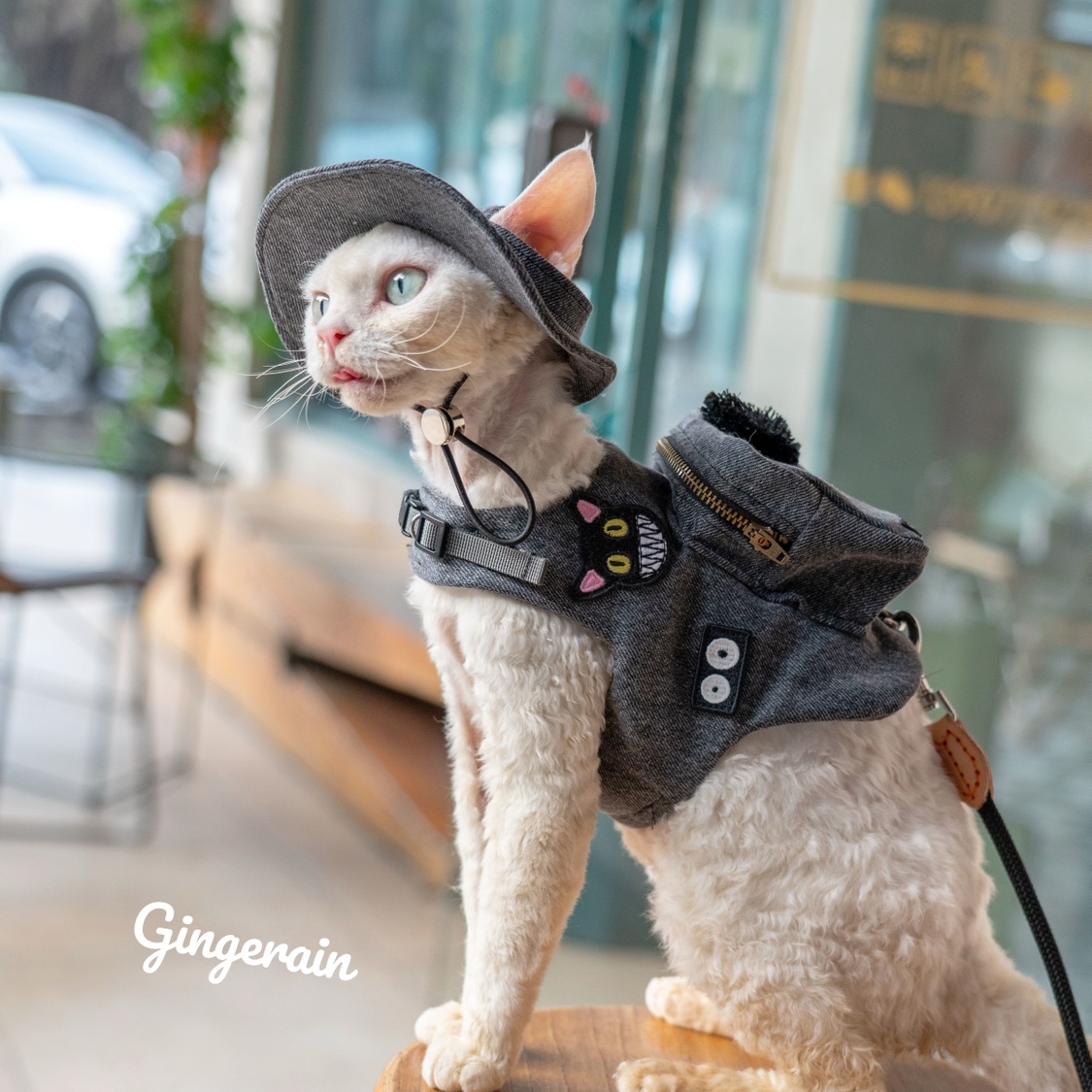Handgemachte Luxus Reise Katze – Luxury Bags Cute Bewertung und Preis